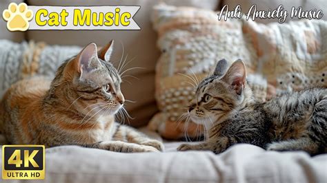 does music calm cats does music help reduce stress in cats during thunderstorms